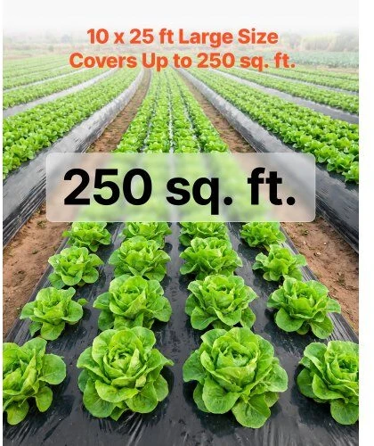 Plastikinė plėvelė VEVOR YF10FT25FTB6MIL, 0,15 mm storio