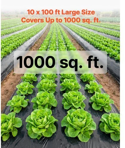 Polietileno plėvelė VEVOR YF10FT100FTB4MIL, 3,05 x 30,48 m, 0,1 mm