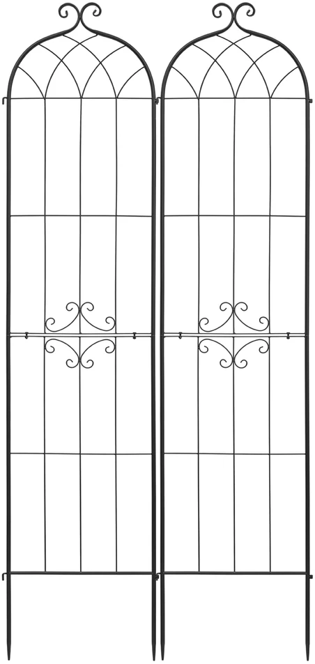 VEVOR Sodo 52.5 x 220 cm rožių treliažas