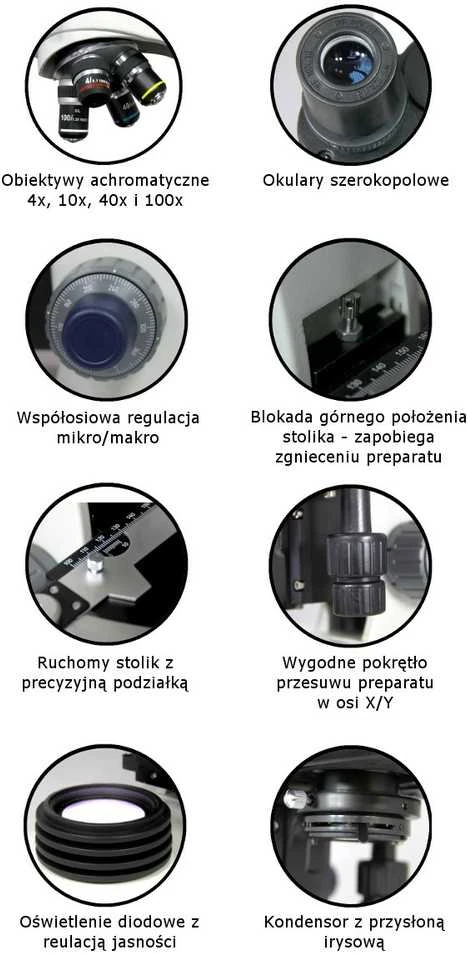 Deltaoptical Mikroskopas Genetic Pro T