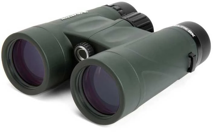 Žiūronai Žiūronų Celestron Nature DX 10x42 stogas