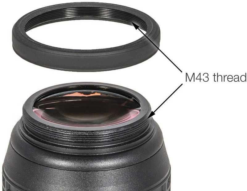 Beta 2954204