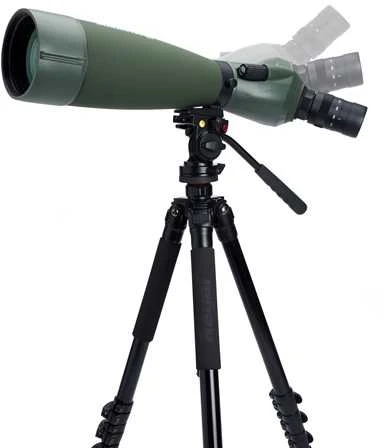 Žiūronai Celestron Regal M2 100 M2 ED stebėjimo vamzdis
