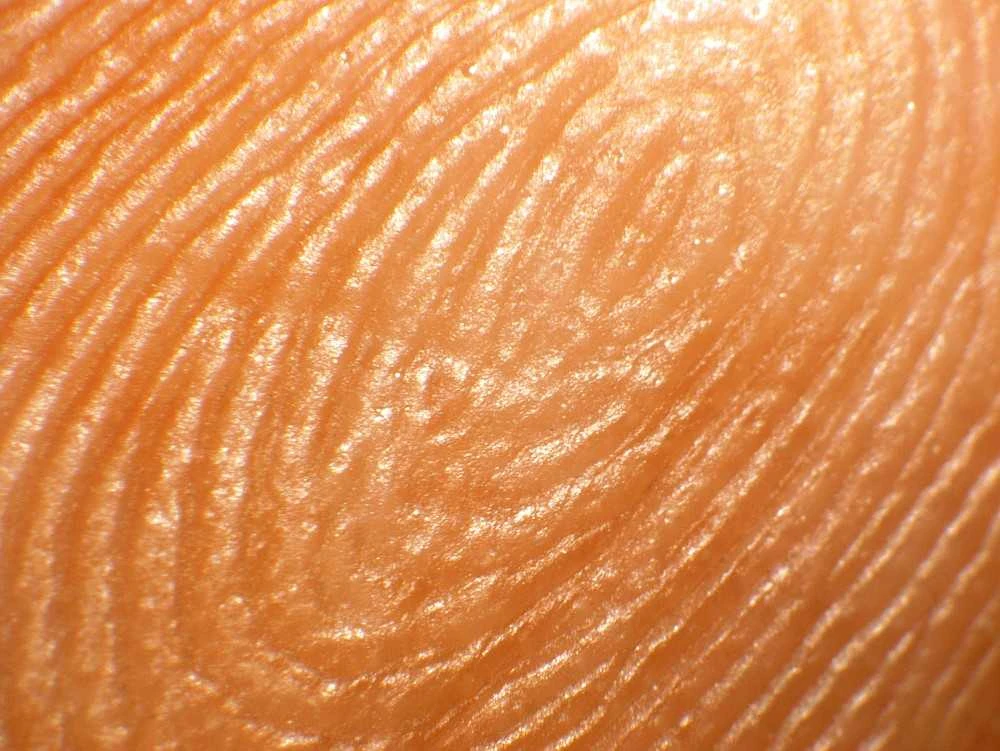 Mikroskopas Deltaoptical Binokuliarinė lupa Discovery 90