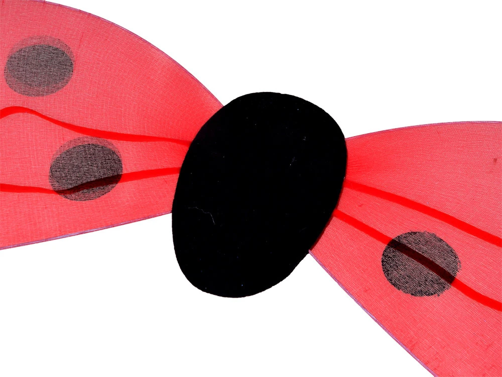 Jokomisiada Ladybug wings wings with dots ZA3954
