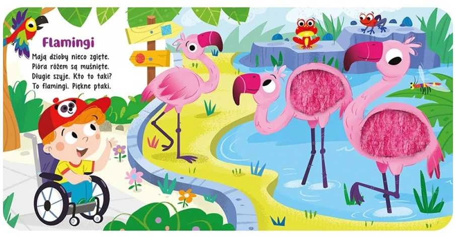 Aksjomat Touch Palieskite ir pajuskite Zoologijos sodo gyvūnų sensorinė knyga KS0908