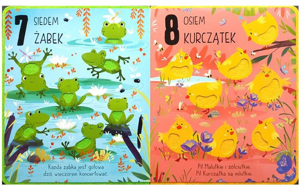 Aksjomat Zwierzęta Knyga Kolorai Ir Skaičiuojame KS0835