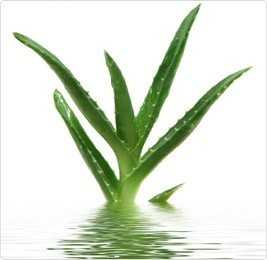 <p>Lovely Lovers Aloe Vera Lube 150 ml</p>