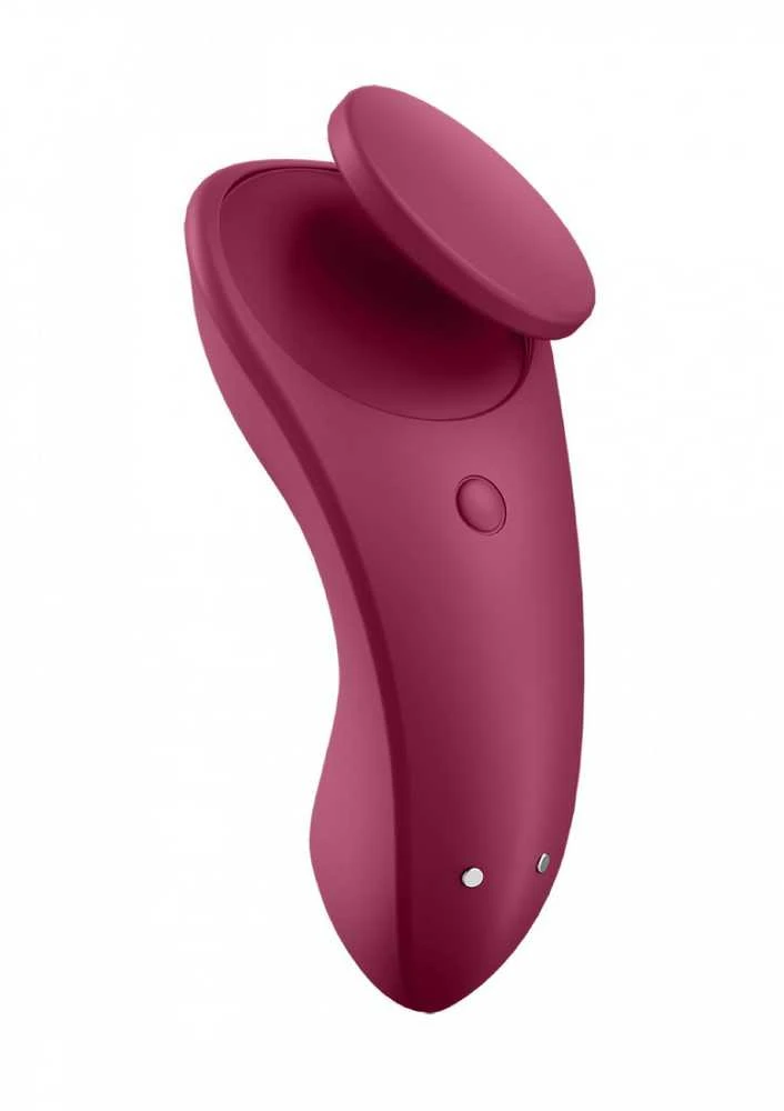 Satisfyer Partner Box 1 komplektas Sexy Secret Kelnaitės Vibratorius + Double Joy Partner Vibratorius