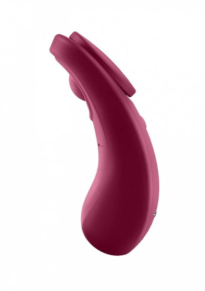 Satisfyer Partner Box 1 komplektas Sexy Secret Kelnaitės Vibratorius + Double Joy Partner Vibratorius