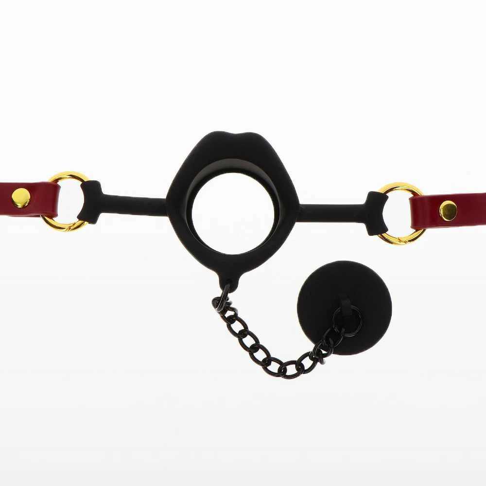 Taboom Kinky Gag su kištuku