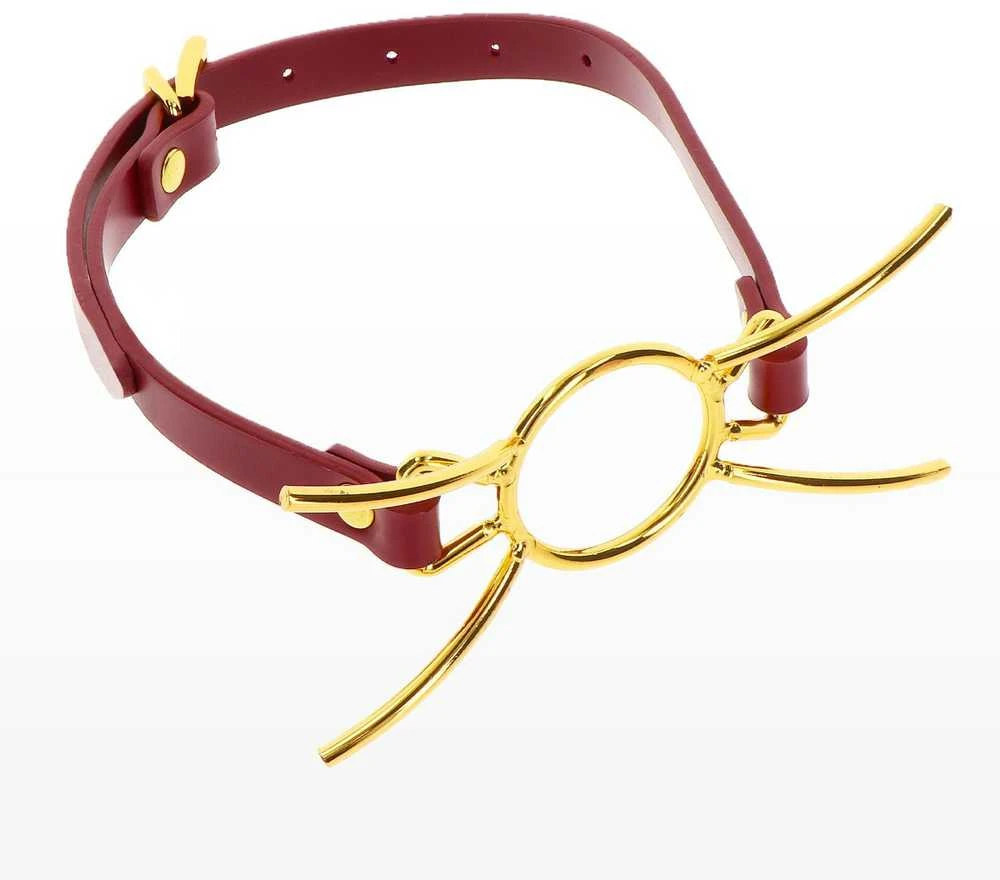 Taboom Open Mouth Spider Gag