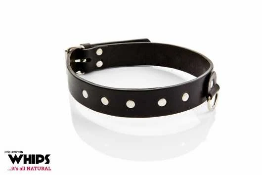 Whips Collections Bdsm apykaklė vyrams, natūralios odos baudžiava