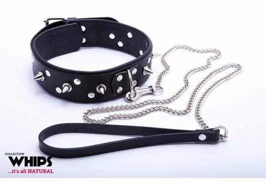 Whips Collections Odinė apykaklė vyrams smeigės bondage bdsm