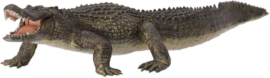 Papo figūrėlė Aligatorius