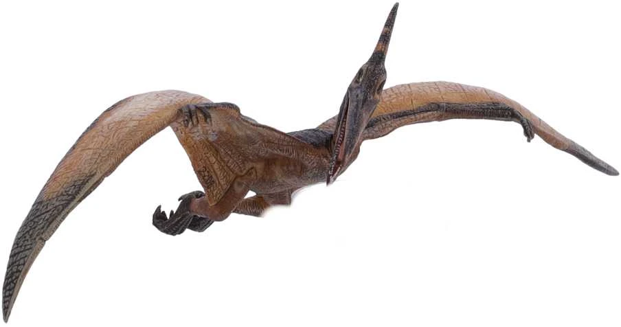 Kolekcionieriaus figūrėlės pteranodonas, papo
