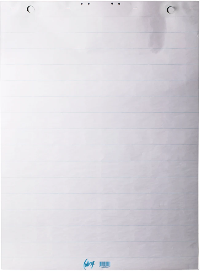 Bloknotas konferencijų stovams College, 600x850mm, 50 lapų, linija