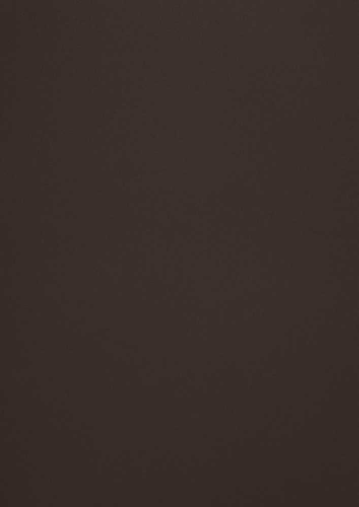 **Dekoratyvinis popierius Curious Skin Mocha, A4, 270g, 10 lapų