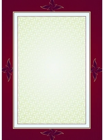 ARGO Diplomų ir laiškų popierius Galeria Majestic, 170g, 25 lapai