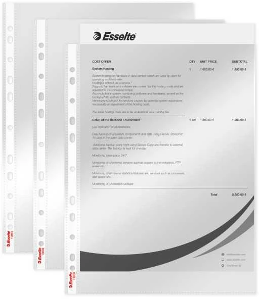 Leitz Įmautės Esselte, A4, 40 mikr., blizgios (100) 0809-103
