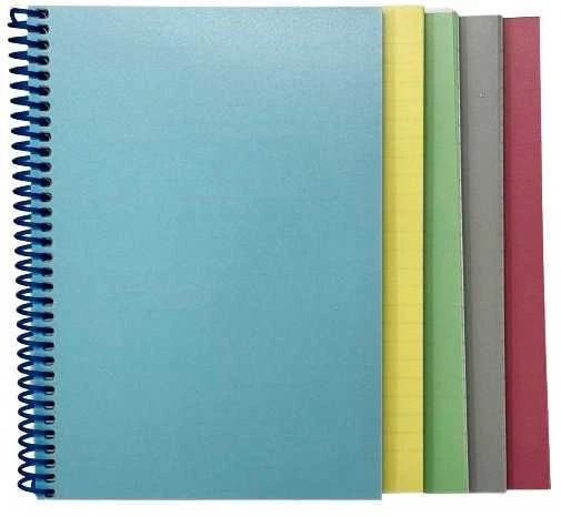 Kuprinė Bange 2913, 15.6″ pilkos spalvos