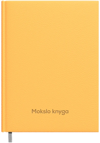Timer Pedagogo knyga 2025/2026 m, 120x195mm, geltonos spalvos