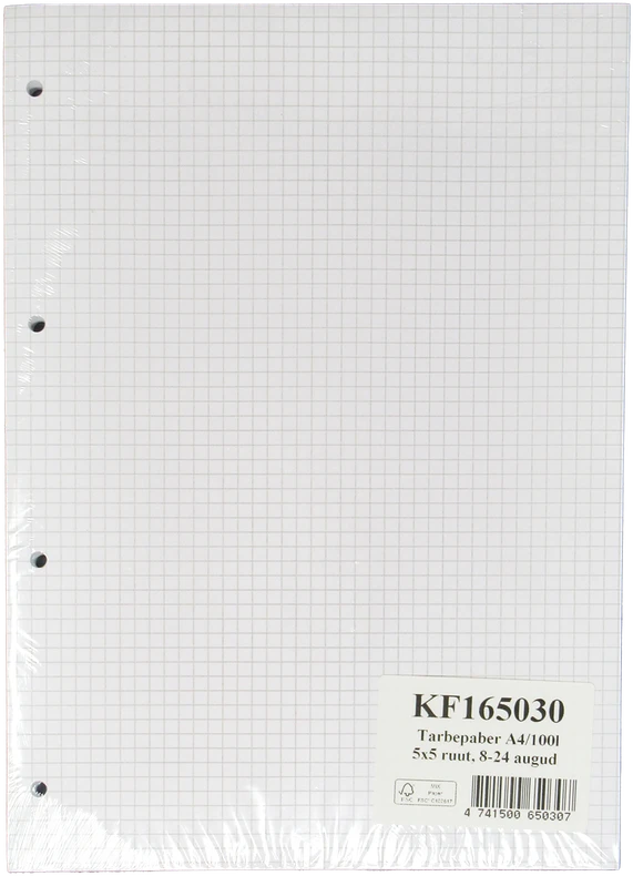 Rašomasis popierius College, A4, 60g, 5x5 langeliais, su perforacija, 100 lapų