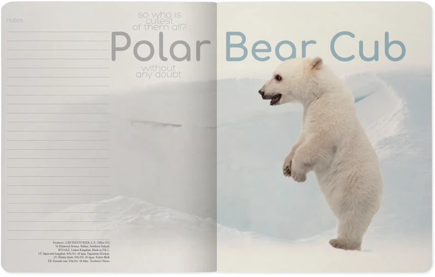 Sąsiuvinis Bruno Visconti A5, Polar Bear Cub, 5×5 langeliais, 48 lapų