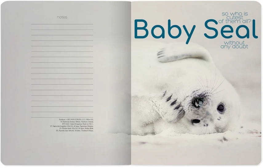 Sąsiuvinis Bruno Visconti A5,Baby Seal, 5x5 langeliais, 48 lapų
