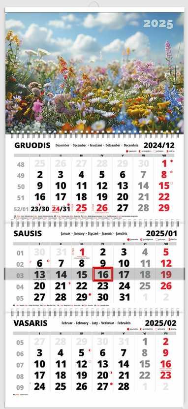 Pakabinamas kalendorius Triple Gėlės 3 mėnesių 3 spiralių, 2026 m.
