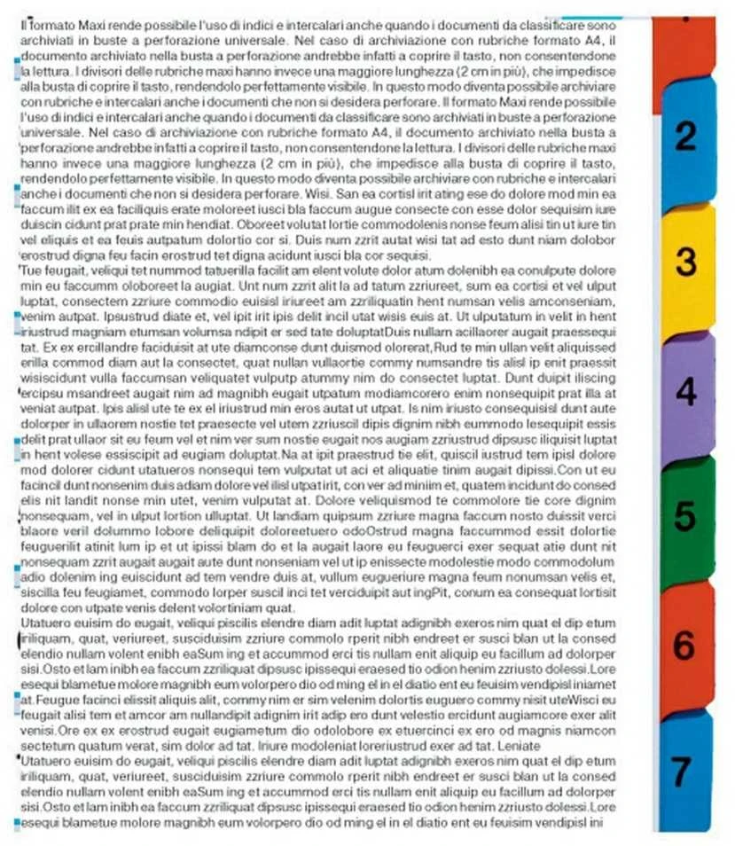 Kartoniniai spalvoti skiriamieji lapai ESSELTE, 1-12, A4