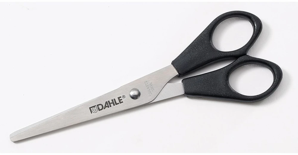 Žirklės Dahle Home, 16cm/6 colių buitinės