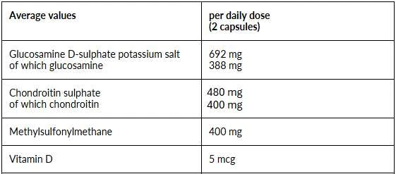 4+ Nutrition Joint+ 90 kaps.
