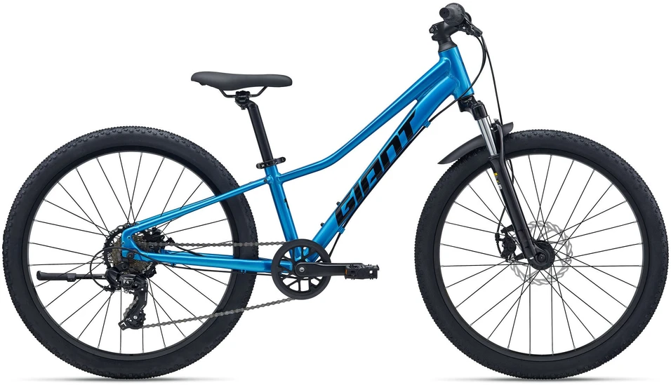 None Dviratis vaikams GIANT Talon 24, metalo mėlyna