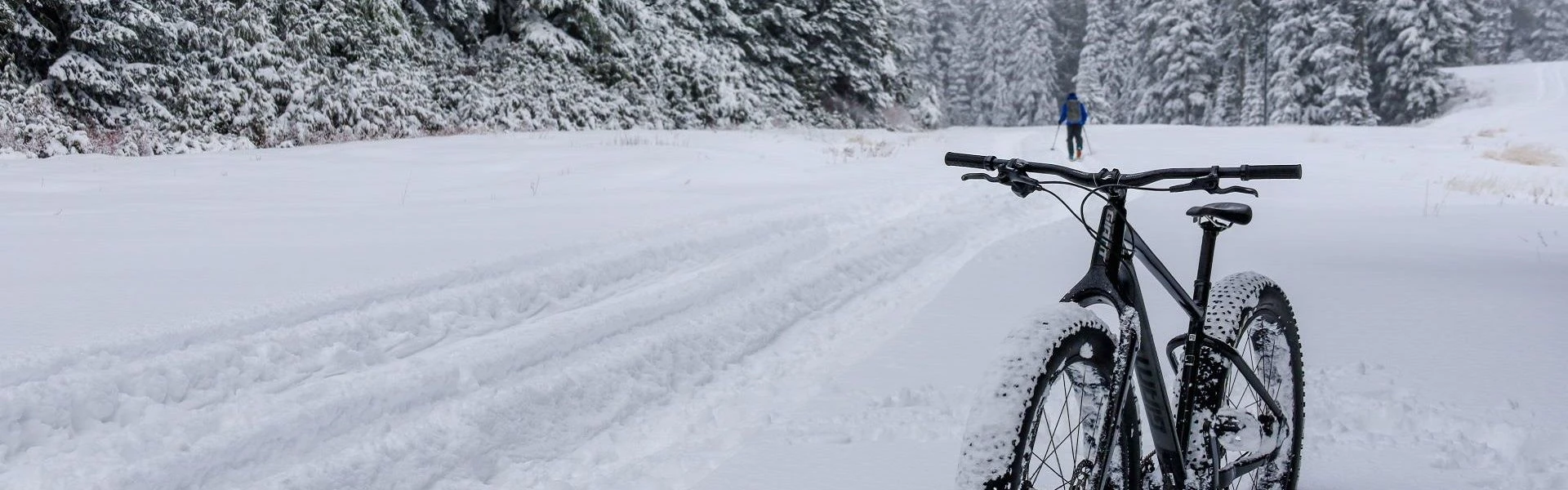 Dviratis Giant Yukon 2 | žalios spalvos | dydis: L aprašymas - Prekės nuotrauka