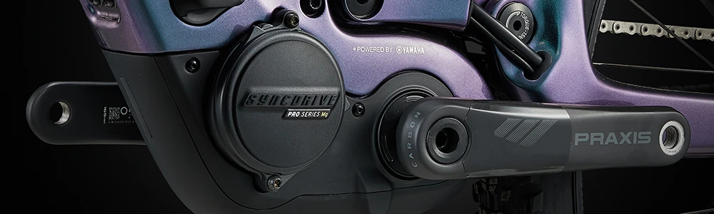 Elektrinis kalnų dviratis Giant Trance X Advanced E+ Elite 2 | spalva: Gloss Sea Sparkle | dydis: L aprašymas - Prekės nuotrauka