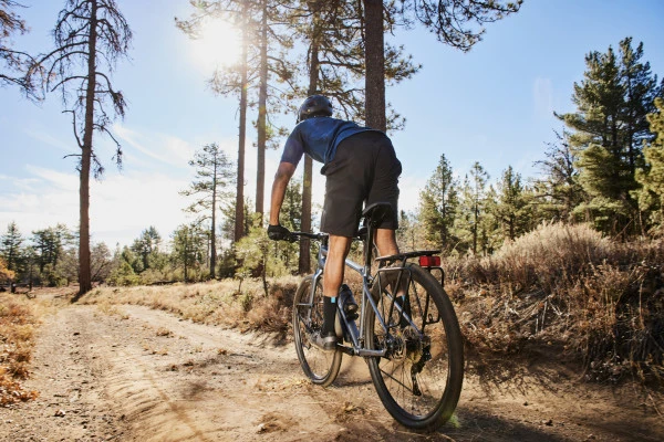 None Krosinis dviratis Giant ToughRoad SLR 2 | Metal | rėmo dydis: L aprašymas - Prekės nuotrauka