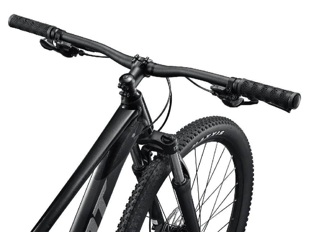 None Dviratis GIANT Talon 3, 29" Panther ,S,