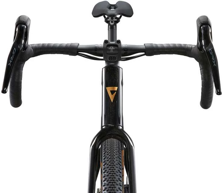 Žvyro dviratis Giant Revolt Advanced 3 Panther M (2025 m.)