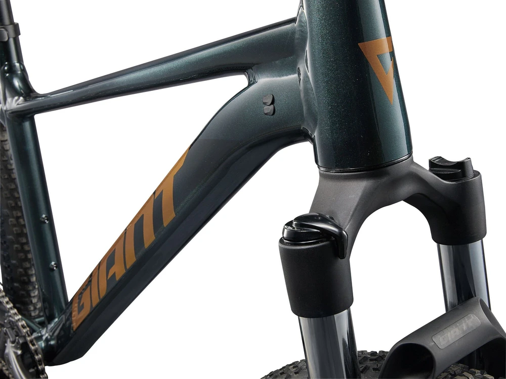 Kalnų dviratis Giant Talon 29 2 Asphalt Žalias