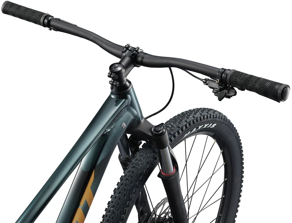 Kalnų dviratis Giant Talon 29 2 Asphalt Žalias