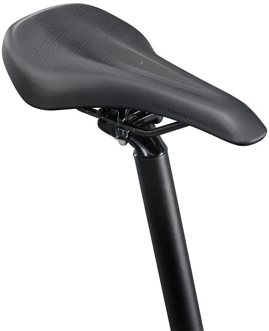 Kalnų dviratis Giant Talon 29 2 Asphalt Žalias