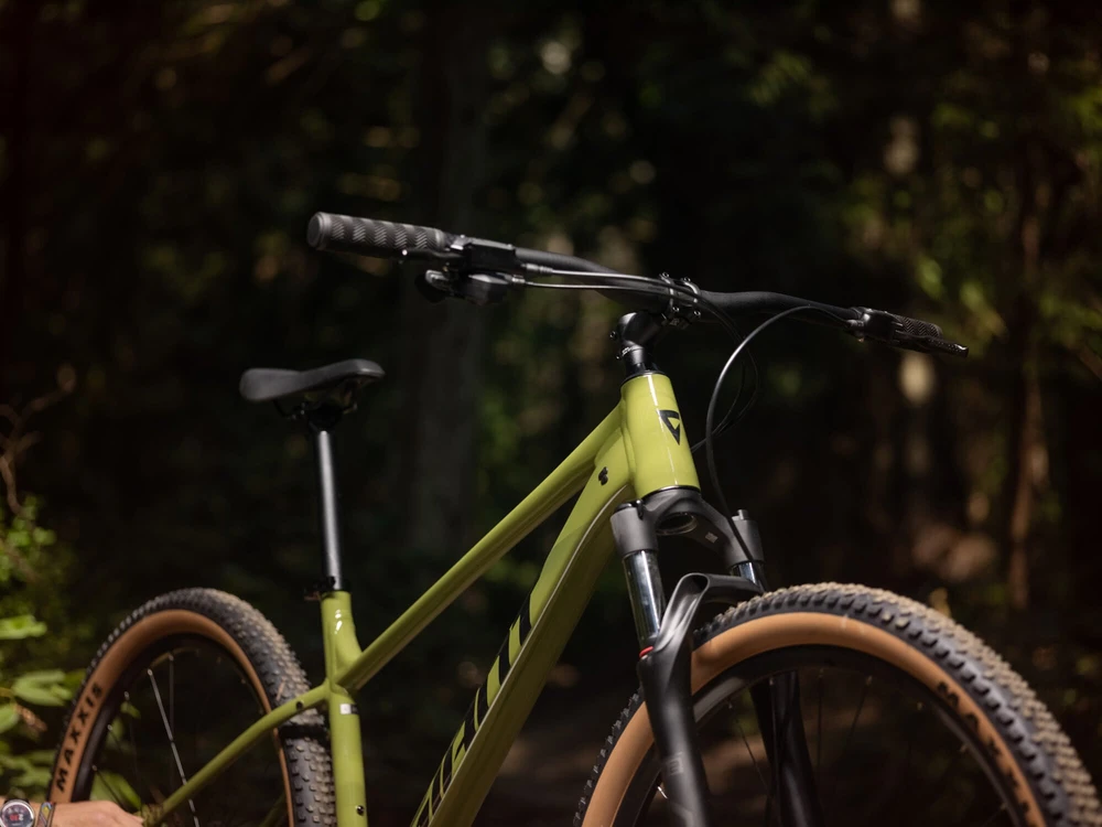 Dviratis GIANT Talon 2, 29" Dried Matcha, M, be ratų