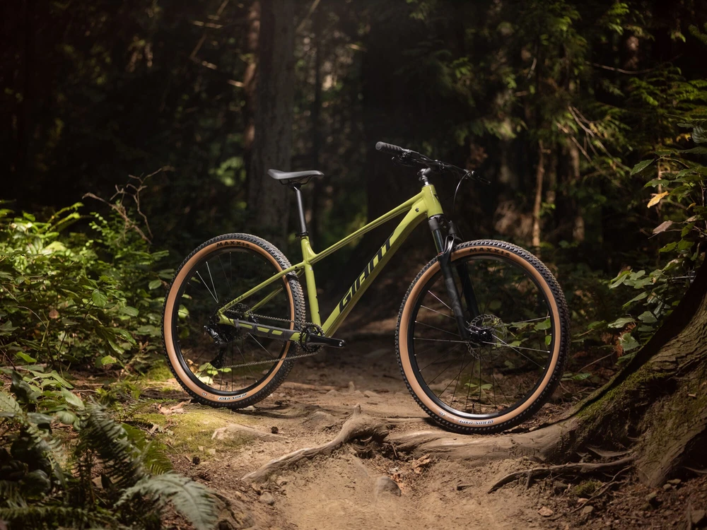 Dviratis GIANT Talon 2, 29" Dried Matcha, M, be ratų