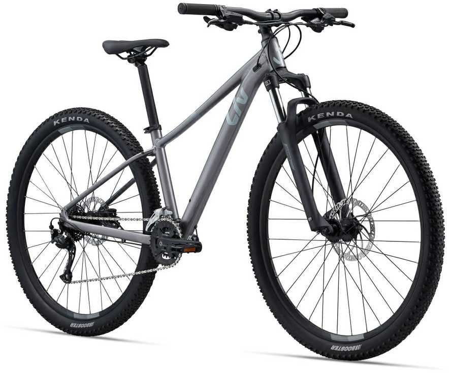 Kalnų dviratis Liv Tempt 2 Liquid Metal, L dydžio, 29"