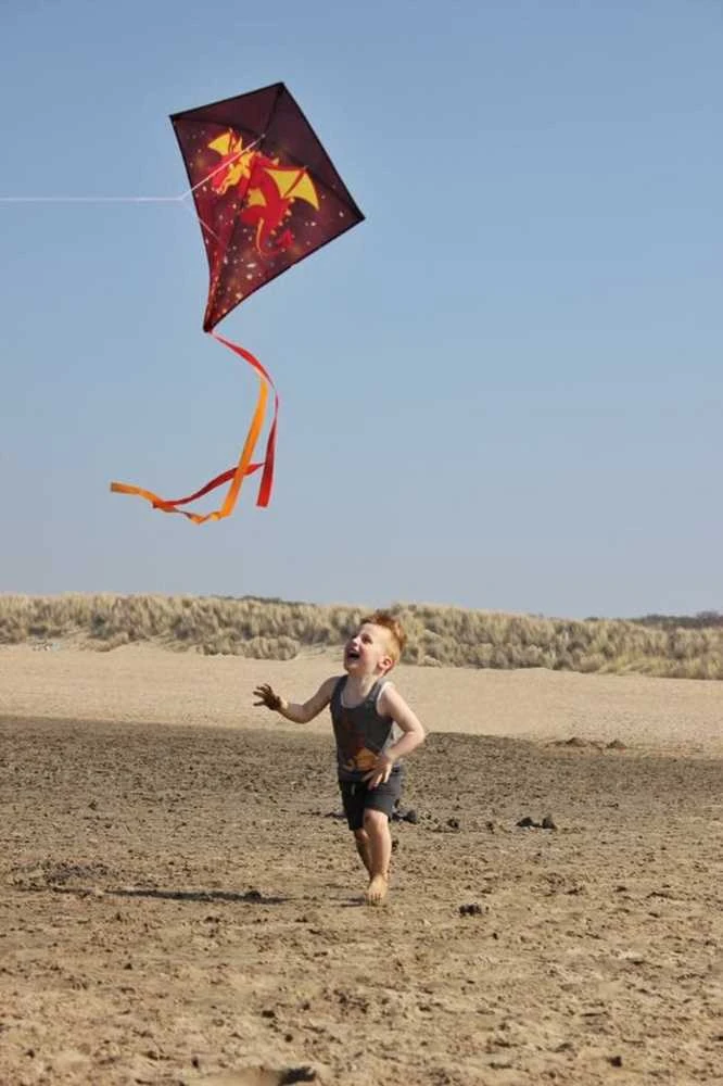 Aitvaras 51WA Diamond kite dragon