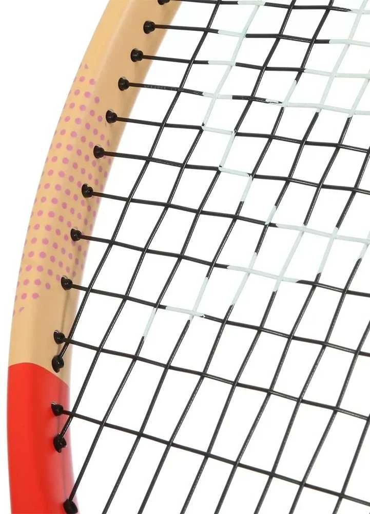 Teniso raketė Dunlop TRISTORM TEAM 100 27" 285g G2