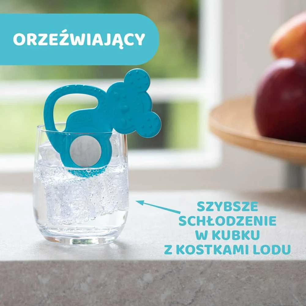 "Chicco Refreshing Koala" Kramtukas 4M+