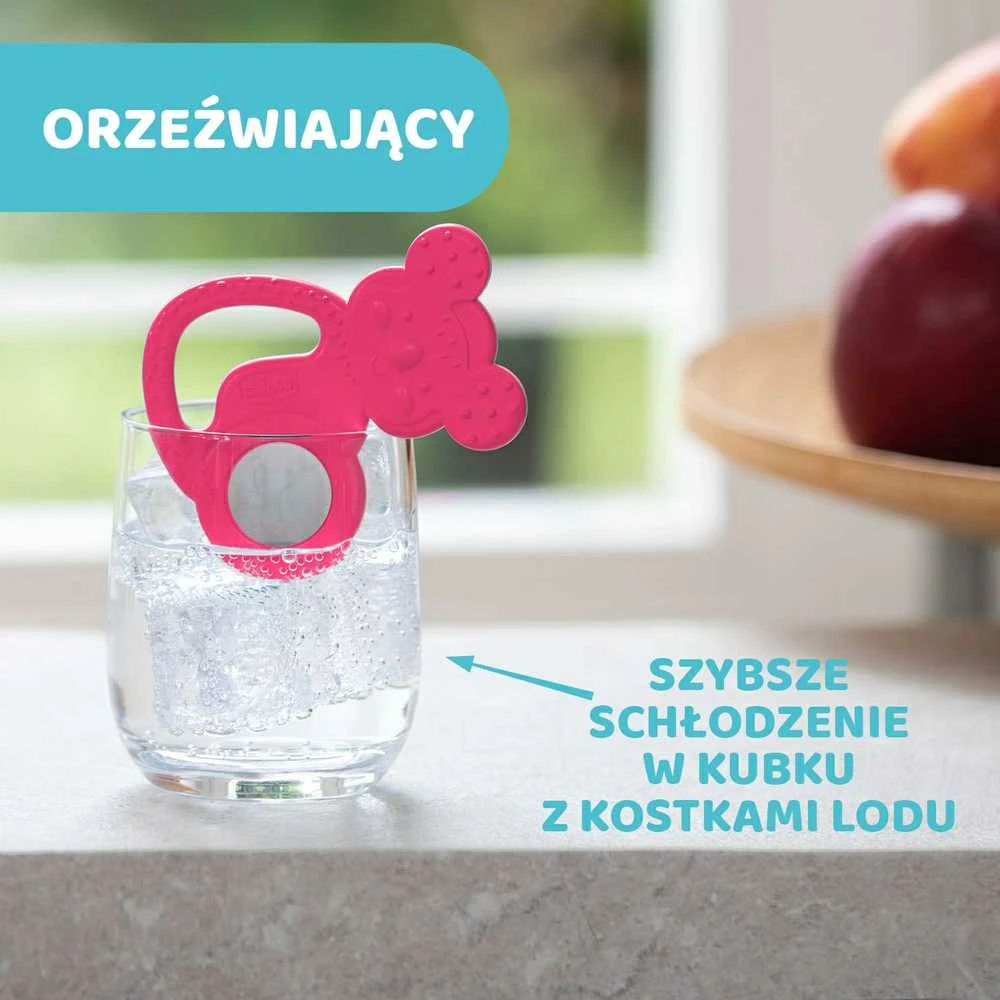CHICCO 00028150100000 nerūdijančio plieno koala kramtukas 4m+ mergaitė