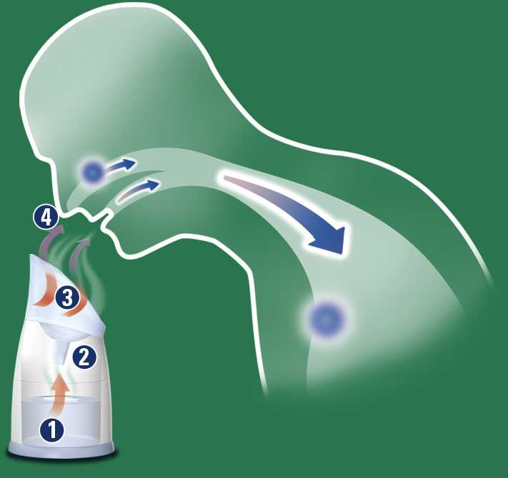 Drėkintuvas Vicks Garo inhaliatorius V1300